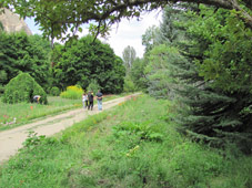 pamir botanical garden